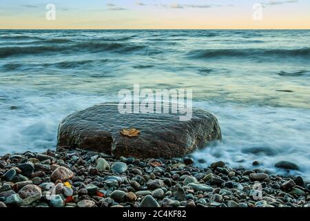 Ostseeküste auf der Insel Rügen mit kleinen Wellen am Morgen nach Sonnenaufgang. Großer Stein mit Blättern im Vordergrund am steinigen Strand Stockfoto