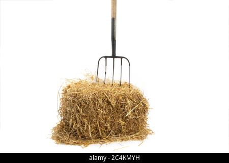 Eine alte Pitchgabel, die in einem Strohballen auf Weiß isoliert stecken bleibt Stockfoto