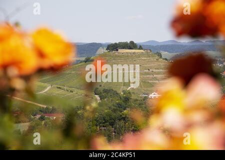 Blick auf Schloss Weibertreu in Weinsberg, Deutschland mit blauem Himmel im Hintergrund Stockfoto