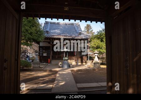 Gotokuji Tempel - ein buddhistischer Tempel, der angeblich der Geburtsort des Maneki-Neko, oder "Glück-einladenden Katze Figur". Tokio, Japan. Stockfoto