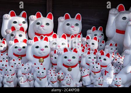 Nahaufnahme von Maneki-Neko oder „glückeinladenden Katzenstatuen“ im Gotokuji-buddhistischen Tempel. Setagaya, Tokio, japan. Stockfoto