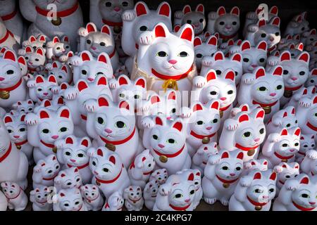 Nahaufnahme von Maneki-Neko oder „glückeinladenden Katzenstatuen“ im Gotokuji-buddhistischen Tempel. Setagaya, Tokio, japan. Stockfoto