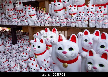 Nahaufnahme von Maneki-Neko oder „glückeinladenden Katzenstatuen“ im Gotokuji-buddhistischen Tempel. Setagaya, Tokio, japan. Stockfoto