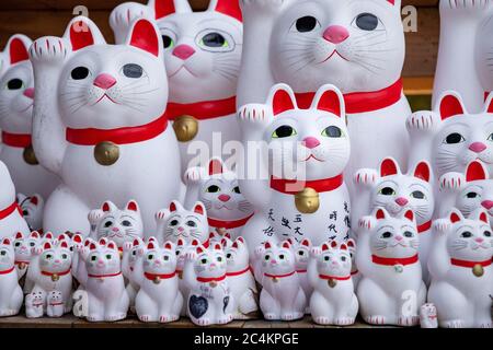 Nahaufnahme von Maneki-Neko oder „glückeinladenden Katzenstatuen“ im Gotokuji-buddhistischen Tempel. Setagaya, Tokio, japan. Stockfoto