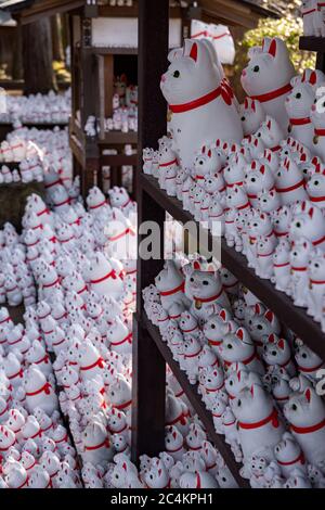 Nahaufnahme von Maneki-Neko oder „glückeinladenden Katzenstatuen“ im Gotokuji-buddhistischen Tempel. Setagaya, Tokio, japan. Stockfoto