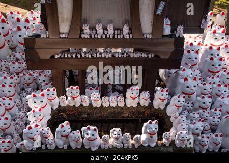 Nahaufnahme von Maneki-Neko oder „glückeinladenden Katzenstatuen“ im Gotokuji-buddhistischen Tempel. Setagaya, Tokio, japan. Stockfoto