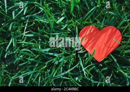 Rotes Papier Herz in grünem Gras, Draufsicht, Liebe Sommer Hintergrund Stockfoto