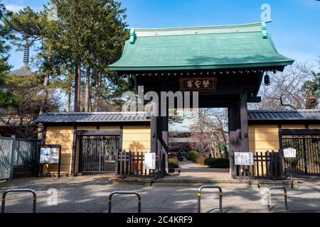 Gotokuji Tempel - ein buddhistischer Tempel, der angeblich der Geburtsort des Maneki-Neko, oder "Glück-einladenden Katze Figur". Tokio, Japan. Stockfoto