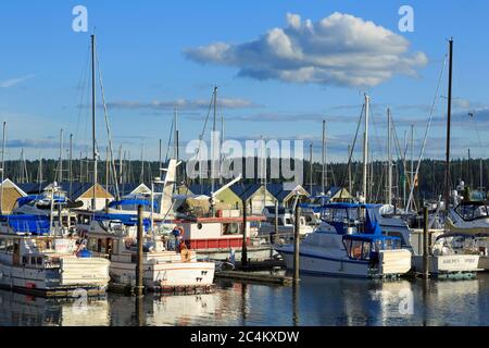 Poulsbo Marina, Puget Sound, Washington State, USA, Nordamerika Stockfoto