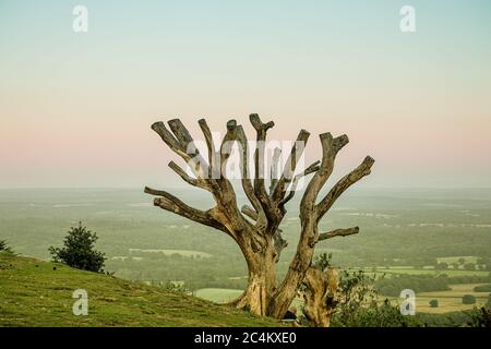 Sonnenuntergang auf Leith Hill Stockfoto