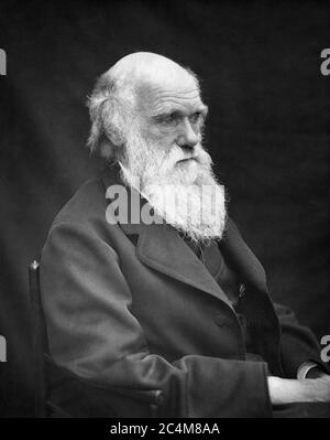 Charles Robert Darwin, Evolutionist und Autor von The Origin of Species, in einer Fotografie von Leonard Darwin, Charles Darwins Sohn, aus dem Jahr 1878. Stockfoto