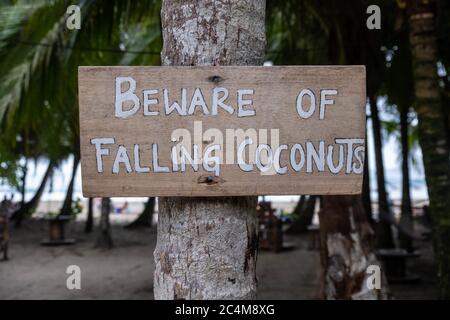 Holzschild mit der Aufschrift "Vorsicht vor fallenden Kokosnüssen" auf dem Kofferraum Von einem Baum am Strand Stockfoto