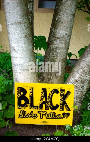 Schild "Black Lives Matters" am Fuß der Birke in ruhiger Nachbarschaft Unterstützung der Bewegung nach George Floyd Tod. St. Paul Minnesota, USA Stockfoto