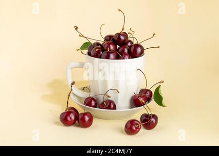 Große weiße Tasse gefüllt mit reifen Kirschen auf hellgelbem Hintergrund. Stockfoto