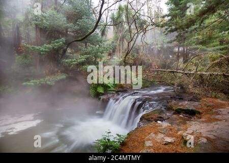 Thermalwasserfall auf Kerosin Creek, Rotorua, Neuseeland. Ungewöhnliche Naturlandschaften Stockfoto