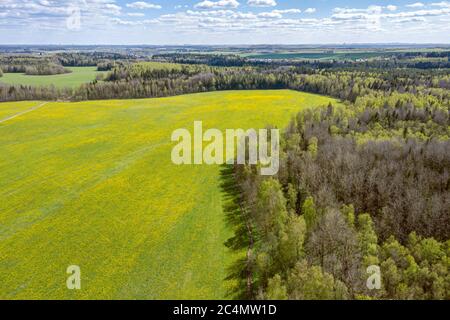 Landschaft mit Feldern und Wald an sonnigen Sommertagen. Luftbild Stockfoto