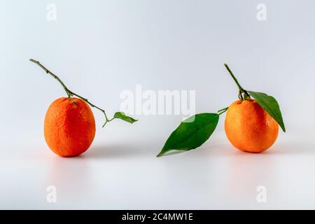 Nahaufnahme von zwei Orangen mit grünen Blättern isoliert auf Ein weißer Hintergrund Stockfoto