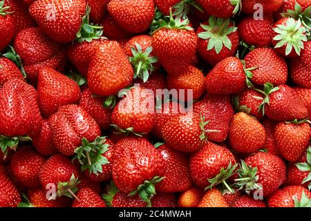Rot reife Erdbeeren Hintergrund. Nahaufnahme. Draufsicht. Stockfoto