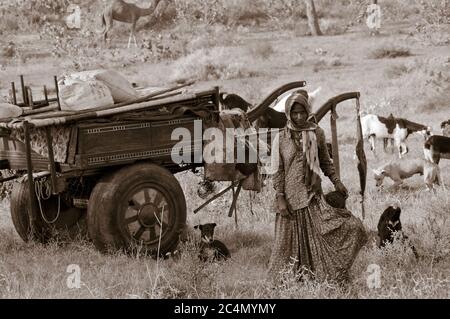 FATEHPUR, INDIEN - 22. Oktober 2011: Junge Gadalia Frau vor ihrem Wagen in der Nähe von Fatehpur in Rajasthan Stockfoto