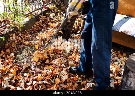 Mann, der gefallene Herbstblätter im Hinterhof aus der Nähe putzt Stockfoto