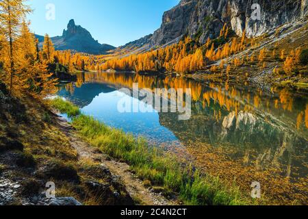 Wunderschöne Herbstlandschaft mit spektakulärem Bergsee und bunten gelben Lärchen in den Dolomiten, Federa See, Italien, Europa Stockfoto