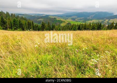 Landschaft mit grasbewachsenen Wiese. Feld auf dem Hügel unter einem bewölkten Himmel. Landschaft Sommer Landschaft in den Bergen Stockfoto