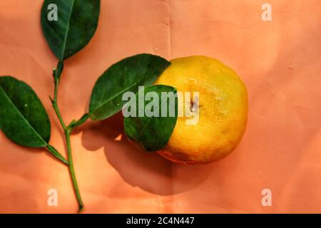 Einzelne orange auf gelber Oberfläche Stockfoto