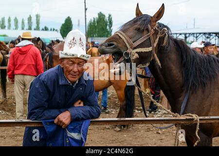 Tiermarkt in Karakol, Kirgisistan. Pferd zeigt seine Zähne. Stockfoto