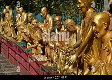 Goldene Statuen von Buddha im zehntausend Buddhas Kloster. Mehrere Statuen auf dem Weg zum Tempel. Sha Tin, East New Territories, Hongkong Stockfoto