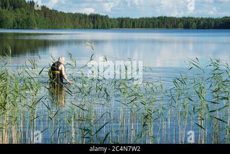 Ältere finnische kaukasische Frau, die an einem See schwimmen geht und im Sommer in Finnland eine Schwimmweste trägt Stockfoto