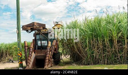 Townsville, Queensland, Australien - Juni 2020: Ein Zuckerrohrernter zum Verkauf auf der Seite der Autobahn Stockfoto