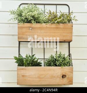 Dekorative Holzkisten mit Blumen an einer weißen Wand Nahaufnahme. Stockfoto