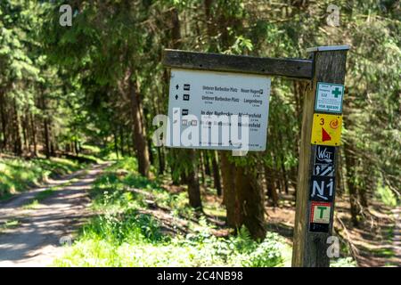 Wald, Landschaft auf dem Langenberg, bei Niedersfeld, im Hochsauerlandkreis, höchster Berg in NRW, Wegweiser für Wanderer,Deutschland Stockfoto