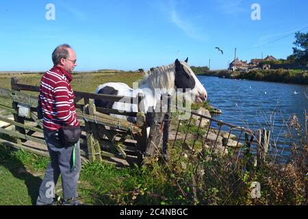 Ein beliebter Besucherort neben Cley Marshes, einem Naturschutzgebiet im Besitz des Norfolk Wildlife Trust, in Cley neben dem Meer, Norfolk, Großbritannien Stockfoto