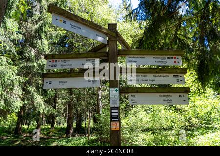 Wald, Landschaft auf dem Langenberg, bei Niedersfeld, im Hochsauerlandkreis, höchster Berg in NRW, Wegweiser für Wanderer, Deutschland Stockfoto