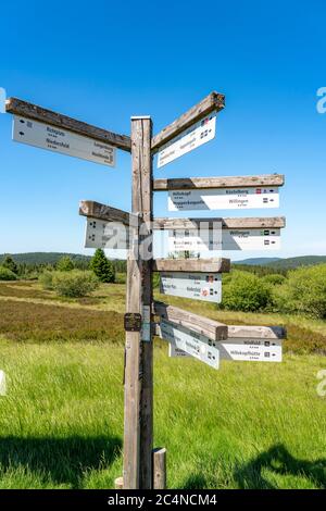 Wald, Landschaft auf dem Langenberg, bei Niedersfeld, im Hochsauerlandkreis, höchster Berg in NRW, Wegweiser für Wanderer, Deutschland Stockfoto