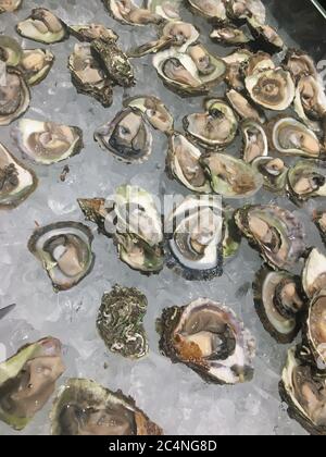 Im Restaurant gab es viele frische, leckere rohe Austern, Meeresfrüchte auf Eis Stockfoto