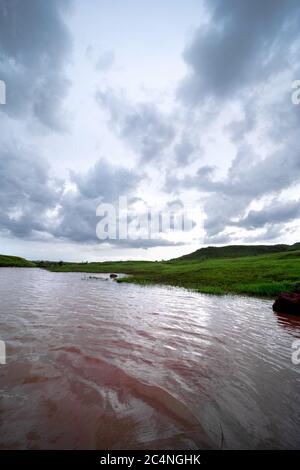 Blick auf die Natur am See Stockfoto