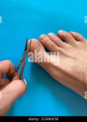 Männliche Hand hält auf Nagelschere, man verwenden Nagelschere schneiden ihre Daumen Nagel auf Fuß Zehen auf blauem Hintergrund Stockfoto
