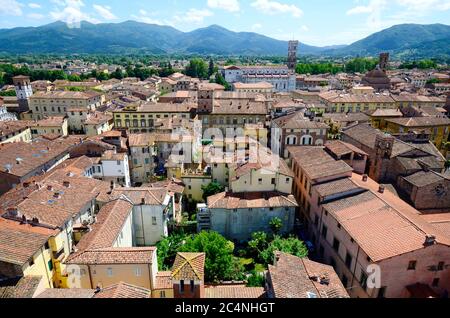 Italien, Lucca, Blick vom Guinigi-Turm über das mittelalterliche Dorf in der Toskana Stockfoto