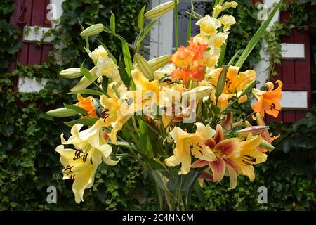 Bouquets de lys jaunes et orange Stockfoto