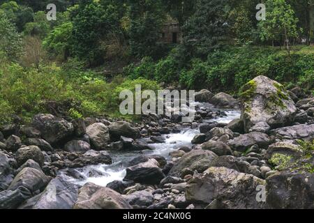 Der Strom des Flusses zwischen den riesigen Felsen in a Grüner Wald Stockfoto