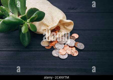 Geldmünzen aus Tasche verstreut. Geld sparen für Unternehmen, Finanzen Stockfoto