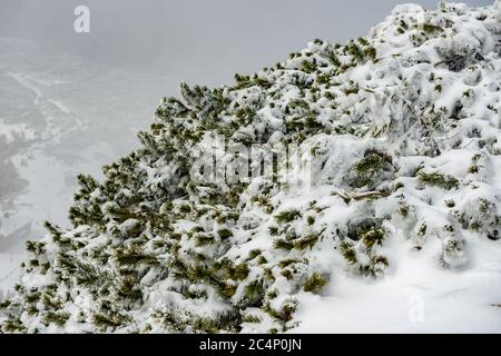 Felsige Berge voller Schnee und Dörfer im Tal Stockfoto