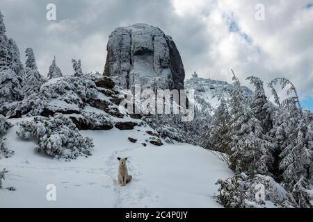 Felsige Berge voller Schnee und Dörfer im Tal Stockfoto