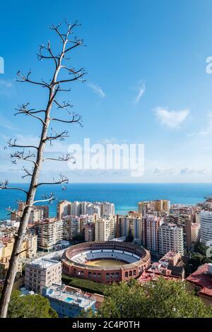 Stadtbild von Malaga an einem bewölkten Wintertag, mit der Stierkampfarena im Vordergrund zu erkennen. Stockfoto