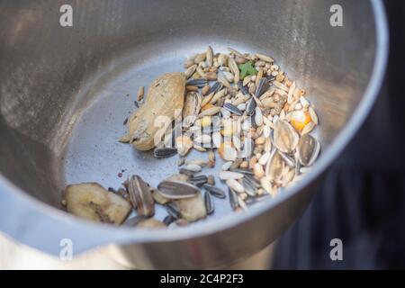 Ein Haufen Vogelfutter: Mischung aus Körnern und Samen für Papageien, in einer Metallschale Stockfoto