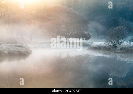 Frostiger Herbstmorgen Mit Wunderschönen Misty Reflections Of Oak Tree In River. Lake District, Großbritannien. Stockfoto