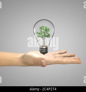 Konzeptdarstellung - eine Frauenhand, die eine Glühbirne mit einem Baum hält, der darin wächst. 3D-Illustration Stockfoto