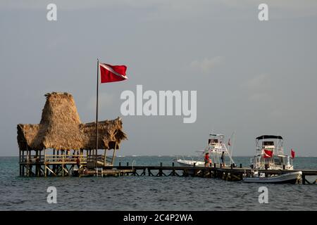 Tauchboote vertäuten an einem Pier, San Pedro, Ambergris Caye, Belize Stockfoto